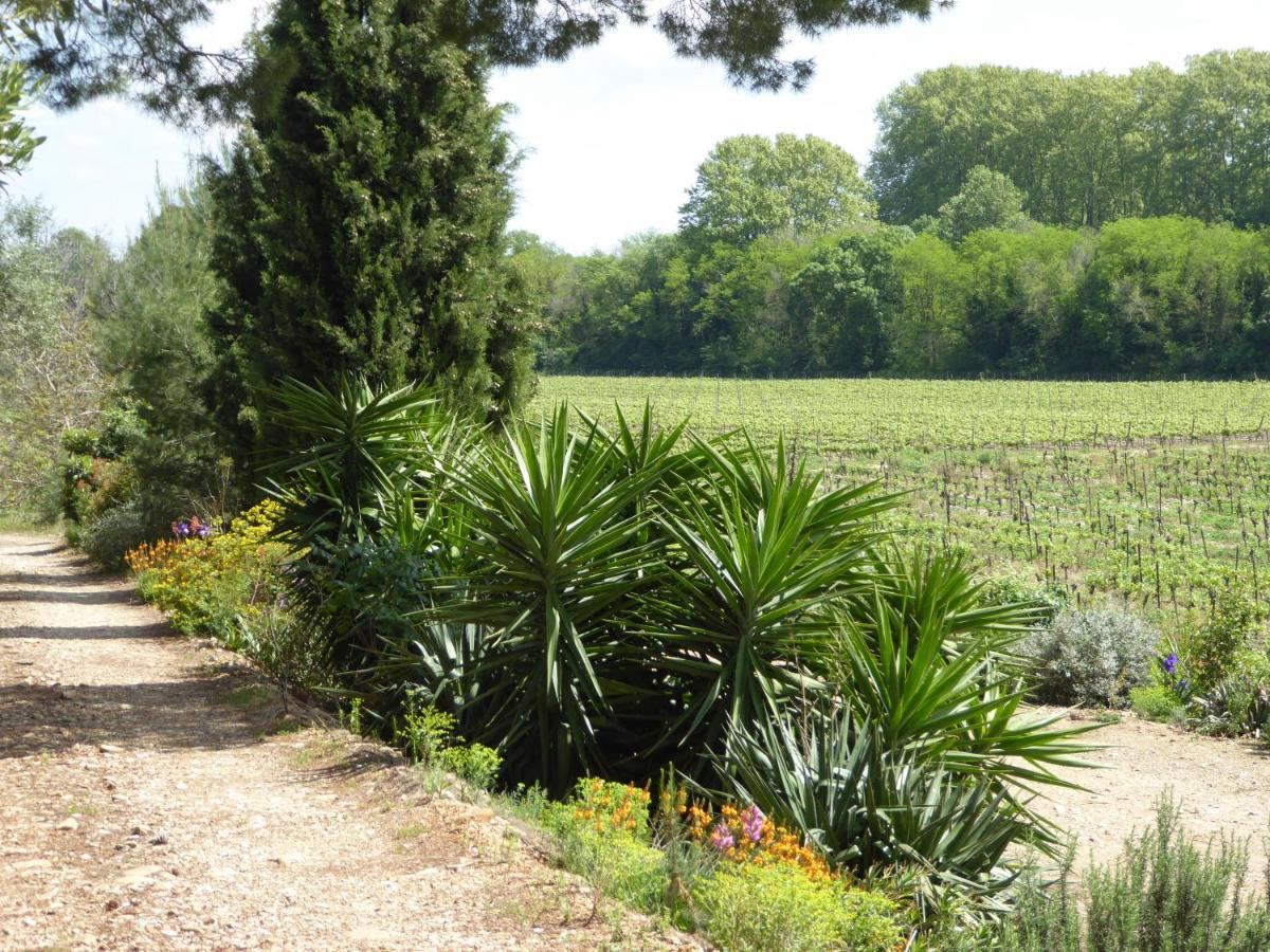 Domaine De L'Herbe Sainte Mirepeisset Екстер'єр фото
