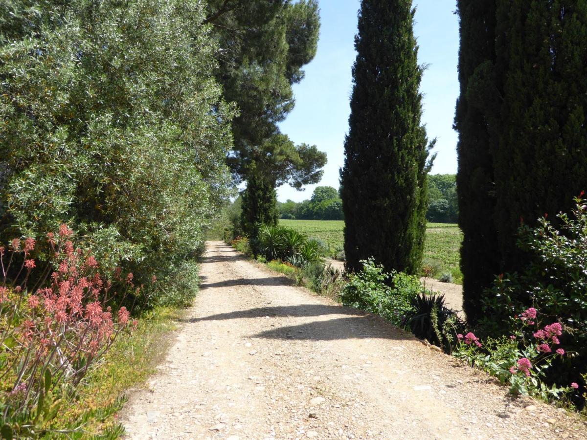 Domaine De L'Herbe Sainte Mirepeisset Екстер'єр фото
