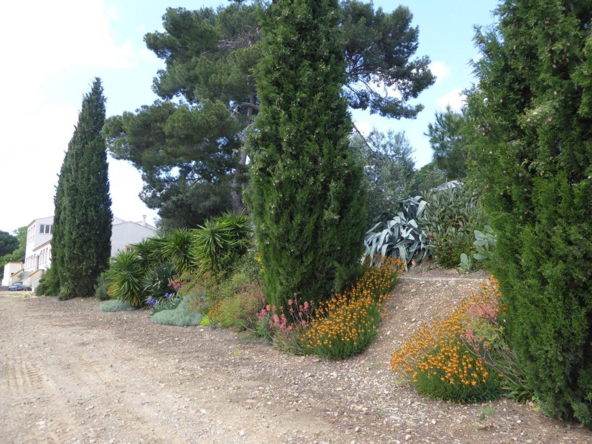 Domaine De L'Herbe Sainte Mirepeisset Екстер'єр фото