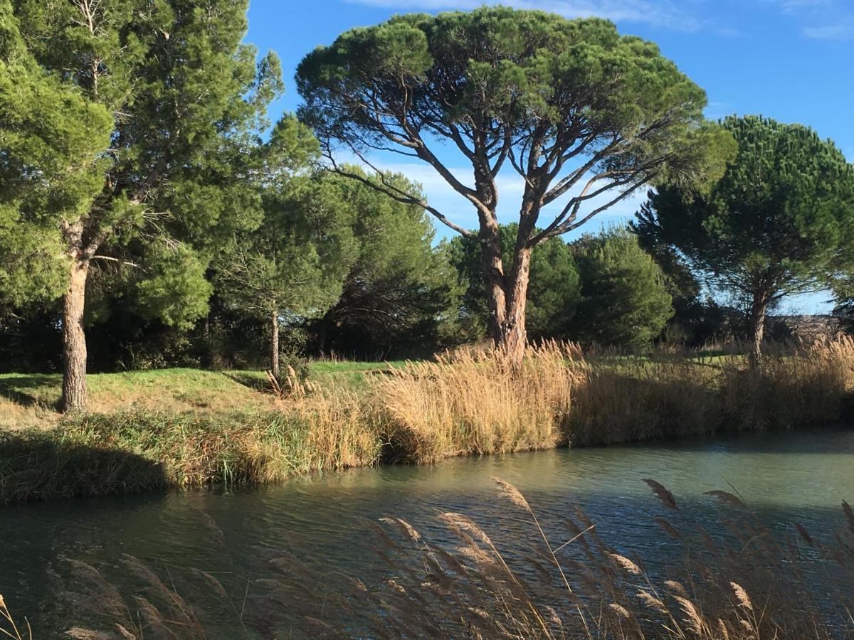 Domaine De L'Herbe Sainte Mirepeisset Екстер'єр фото