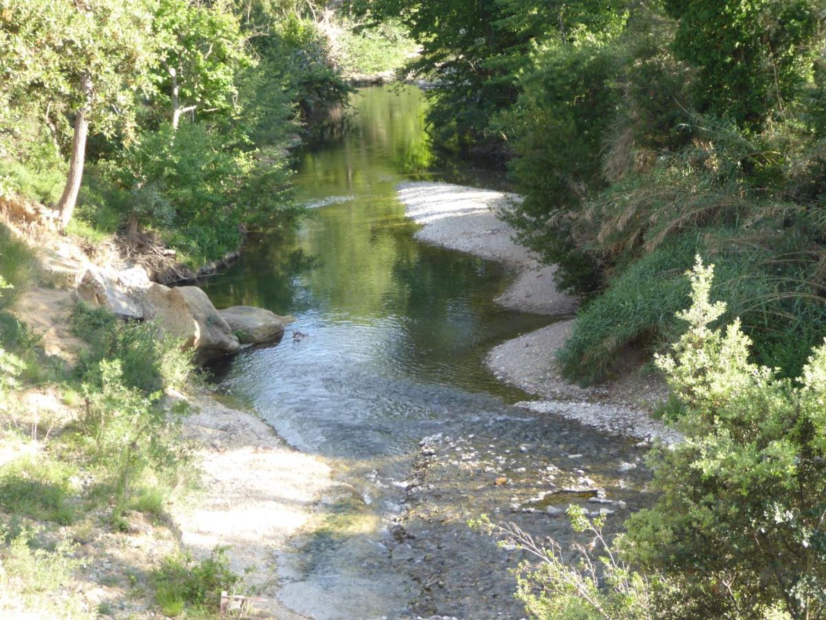 Domaine De L'Herbe Sainte Mirepeisset Екстер'єр фото