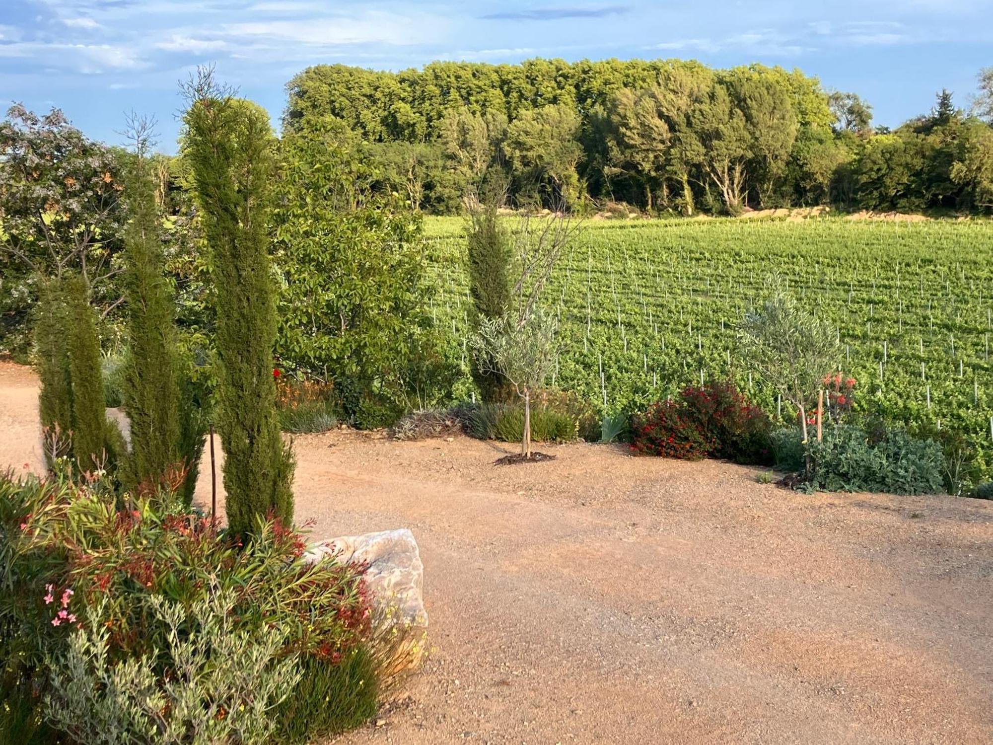 Domaine De L'Herbe Sainte Mirepeisset Екстер'єр фото