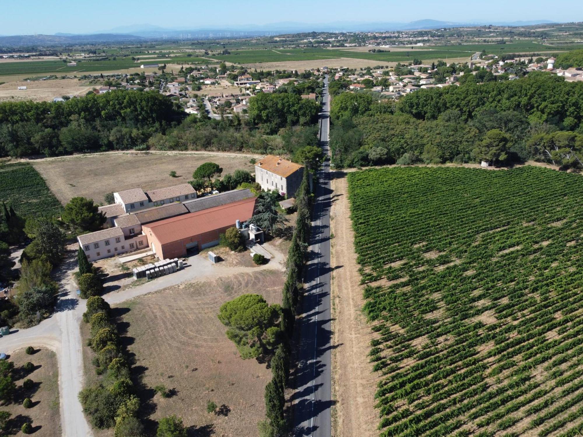 Domaine De L'Herbe Sainte Mirepeisset Екстер'єр фото