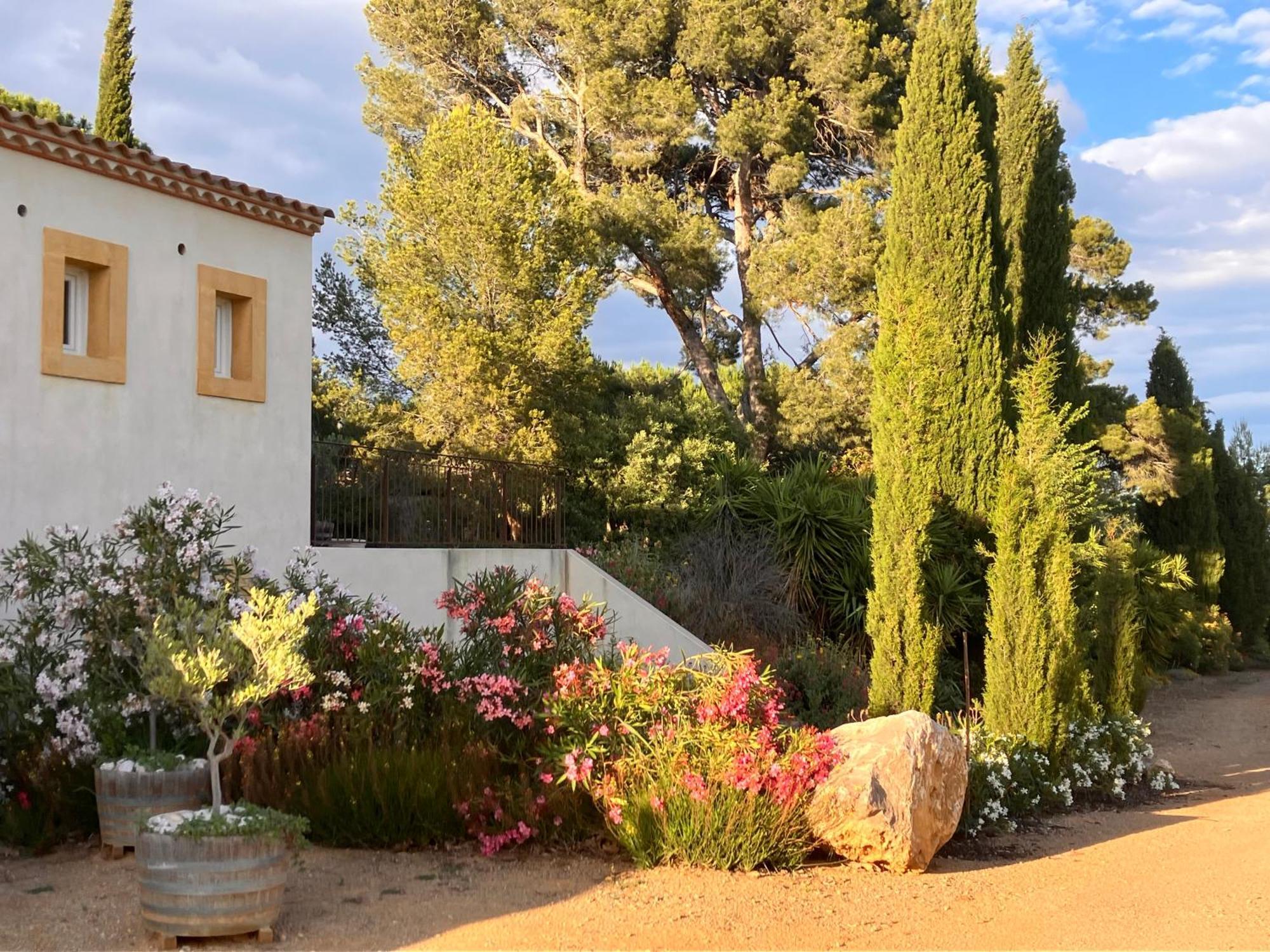 Domaine De L'Herbe Sainte Mirepeisset Екстер'єр фото