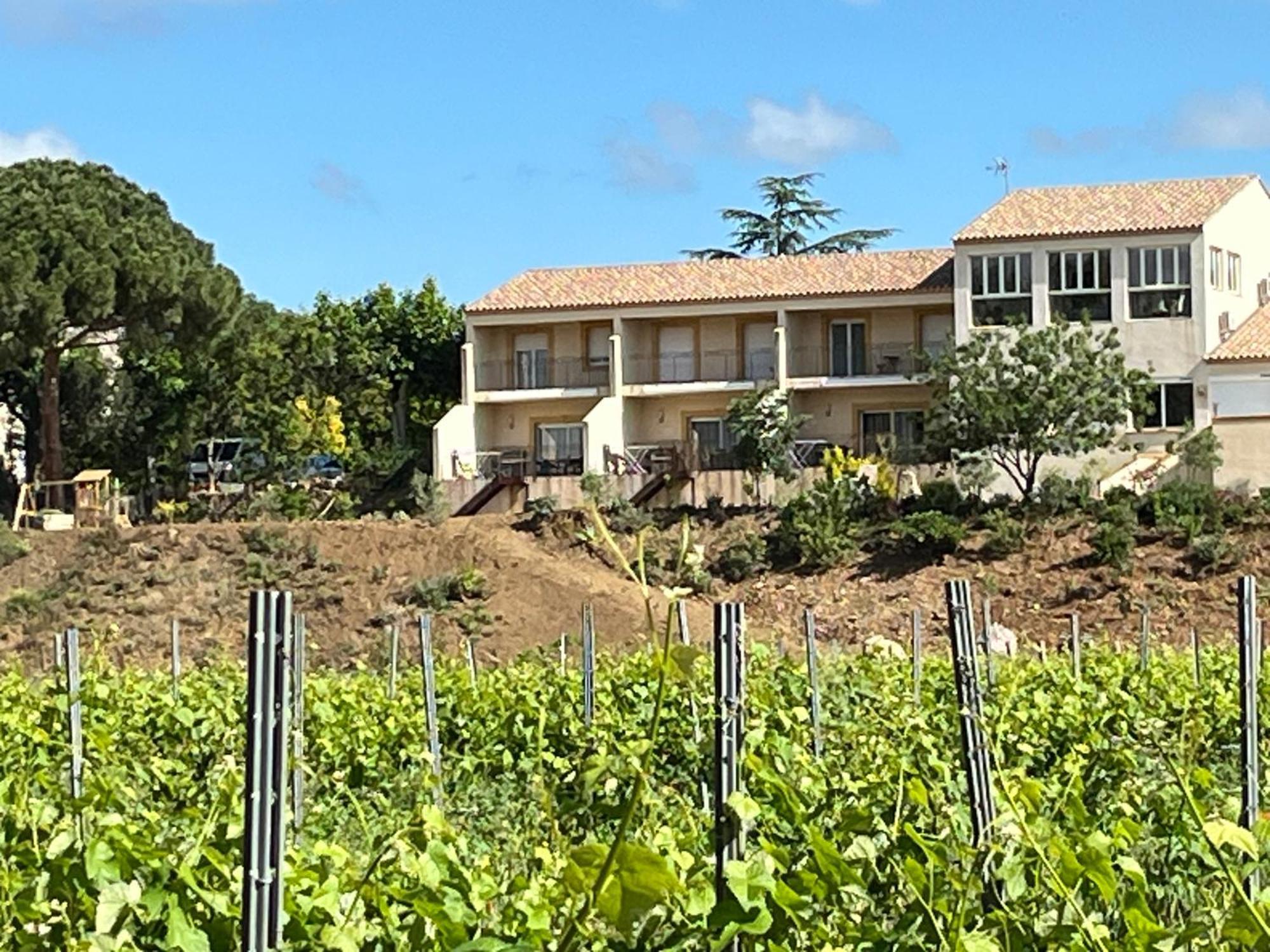 Domaine De L'Herbe Sainte Mirepeisset Екстер'єр фото